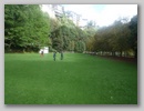 p146.jpg